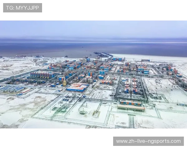 亚马尔地区的资源开发与国际合作新机遇探讨